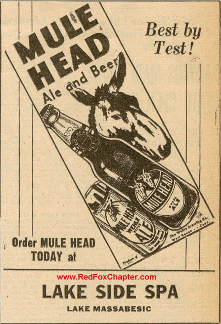 mule_head_ad_3