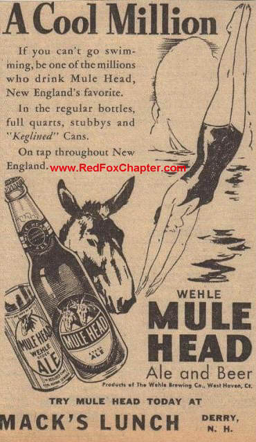 mule_head_ad_5