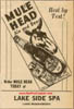 mule_head_ad_3